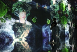 Illusionaries
