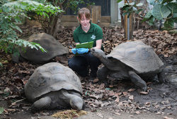 London Zoo 