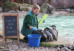 London Zoo 