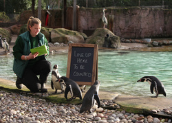 London Zoo 