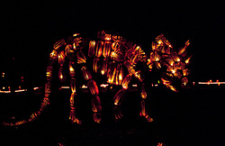 Pumpkin Blaze 2010