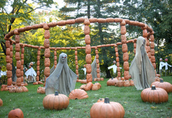 Pumpkin Blaze 2010